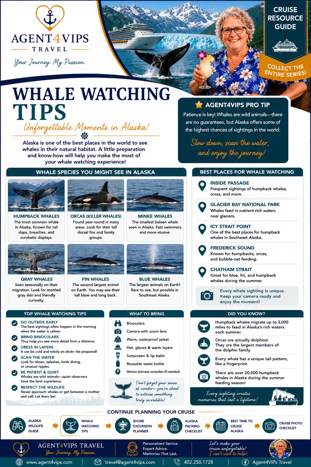 Agent4VIPs_Whale_Watching_Tips_No_Numbers_WordPress