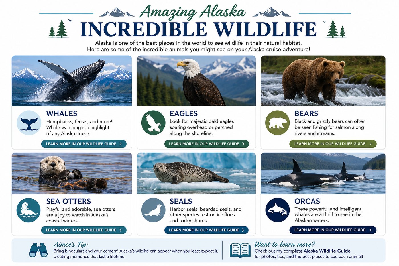 Alaska_Wildlife_Guide_Cards_WordPress